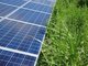 急増する太陽光発電の「雑草トラブル」、知っておきたいリスクと対策