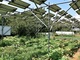 営農型太陽光の“農地転用申請数の問題視”に感じる、制度議論と現場の乖離