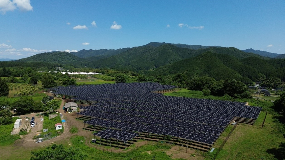 両面発電型の太陽光パネルでソーラーシェアリング、下部農地では海老芋を栽培：太陽光 - スマートジャパン