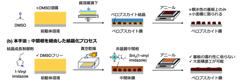 鉛フリーのスズペロブスカイト太陽電池の普及に貢献 新しい塗布成膜