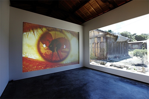 �G�L�T�C�g�C�Y��