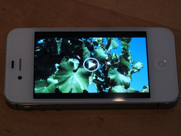 �G�L�T�C�g�C�Y��