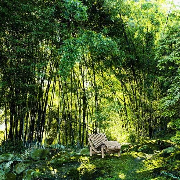 �G�L�T�C�g�C�Y��