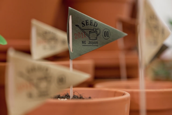 �G�L�T�C�g�C�Y��