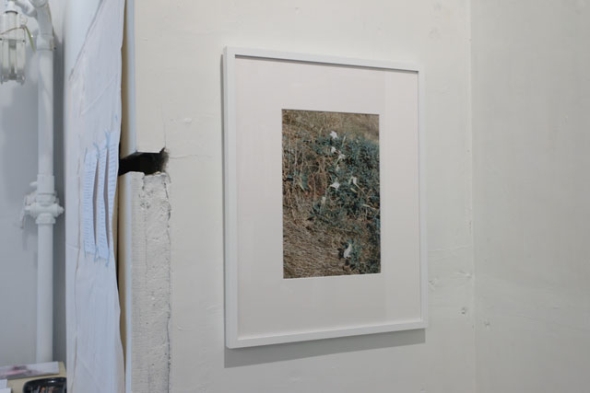 写真家、大森克己の個展「すべては初めて起こる」 - ITmedia ビジネス