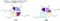 /l/im/survey/articles/0406/29/l_ksenq1.gif