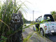 超小型EVで沖縄をドライブ——実証実験「ちゅらまーい Ha:mo」体験レポート